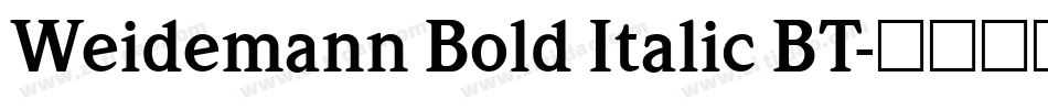 Weidemann Bold Italic BT字体转换